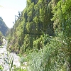 Plants: image 76 Of 117 Thumb